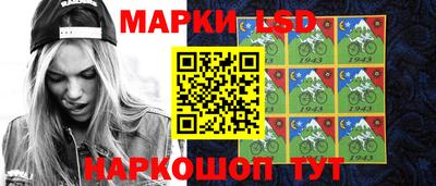мдпв Камышлов