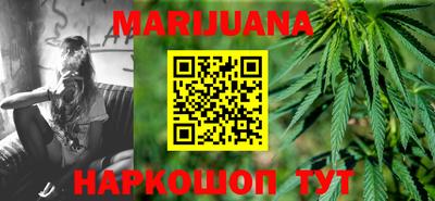 мдпв Камышлов