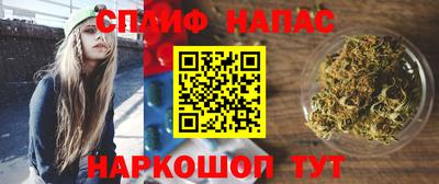 мдпв Камышлов