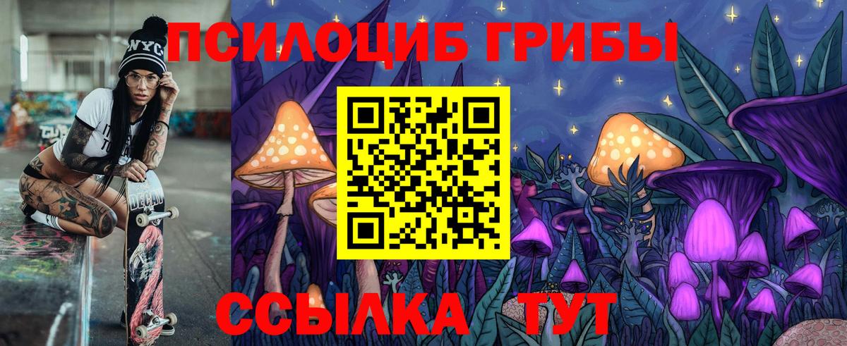 Галлюциногенные грибы Psilocybine cubensis Грязи