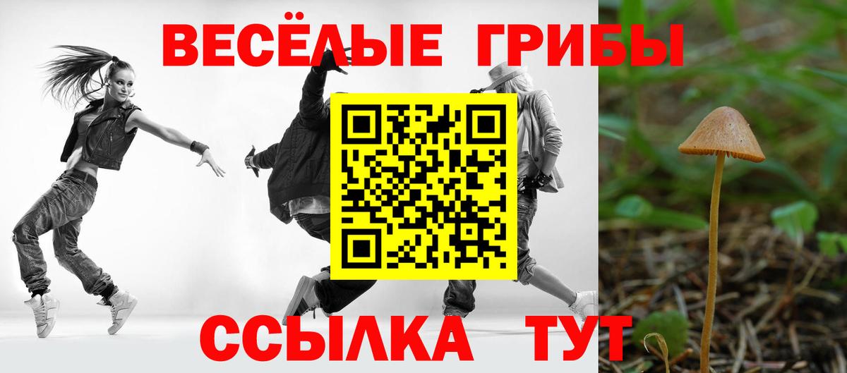 Галлюциногенные грибы MAGIC MUSHROOMS  Вход с VPN  Грязи 